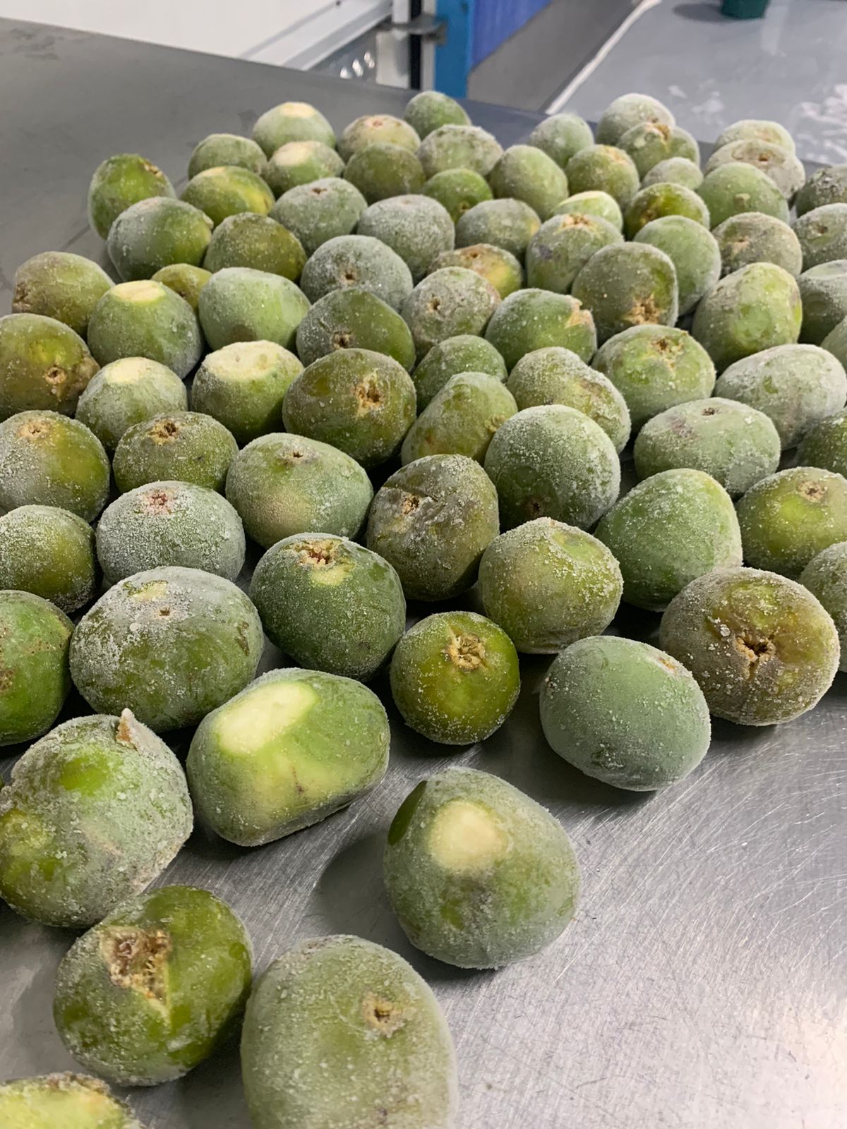 Figues vertes surgelées sur table inox