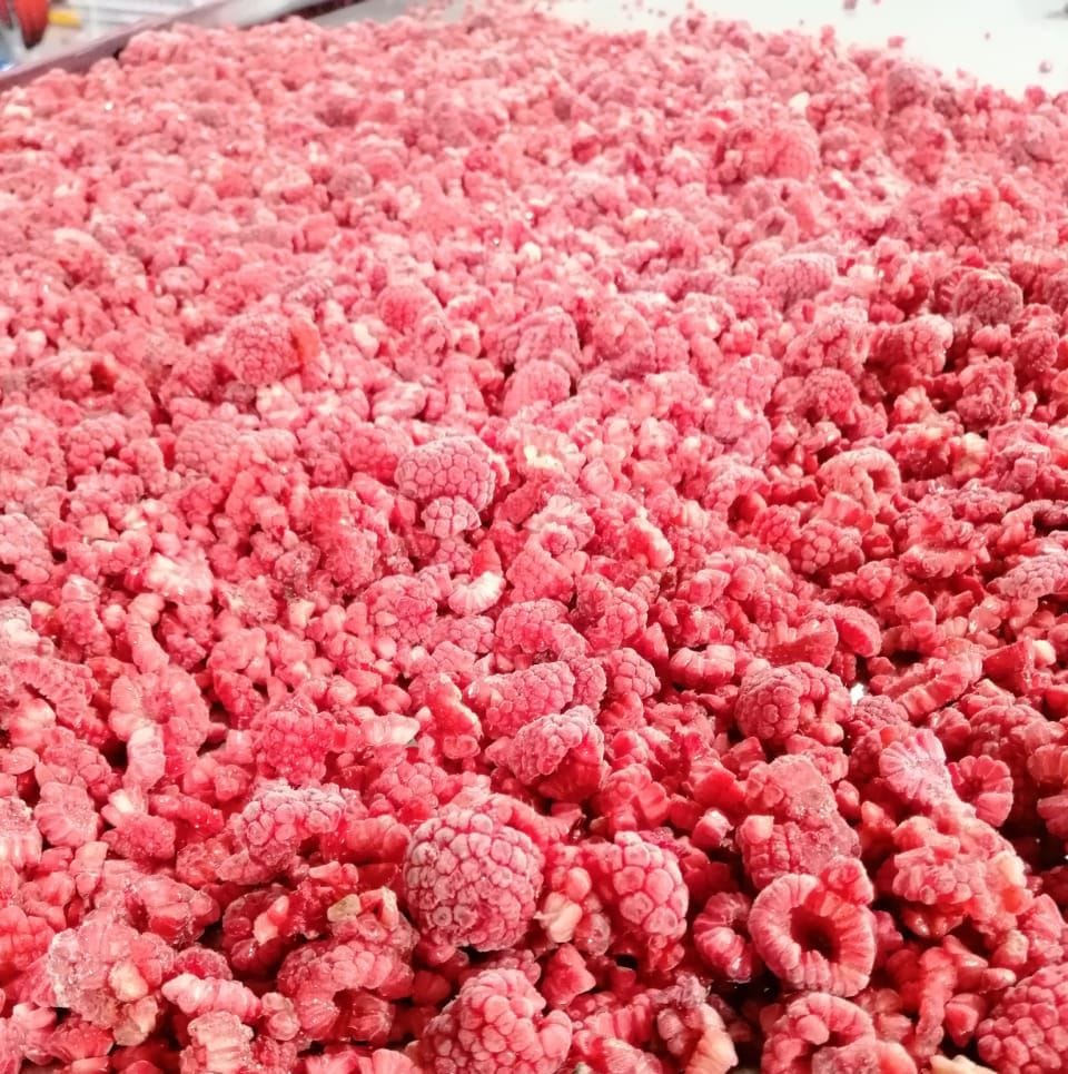 Framboises brisées surgelées