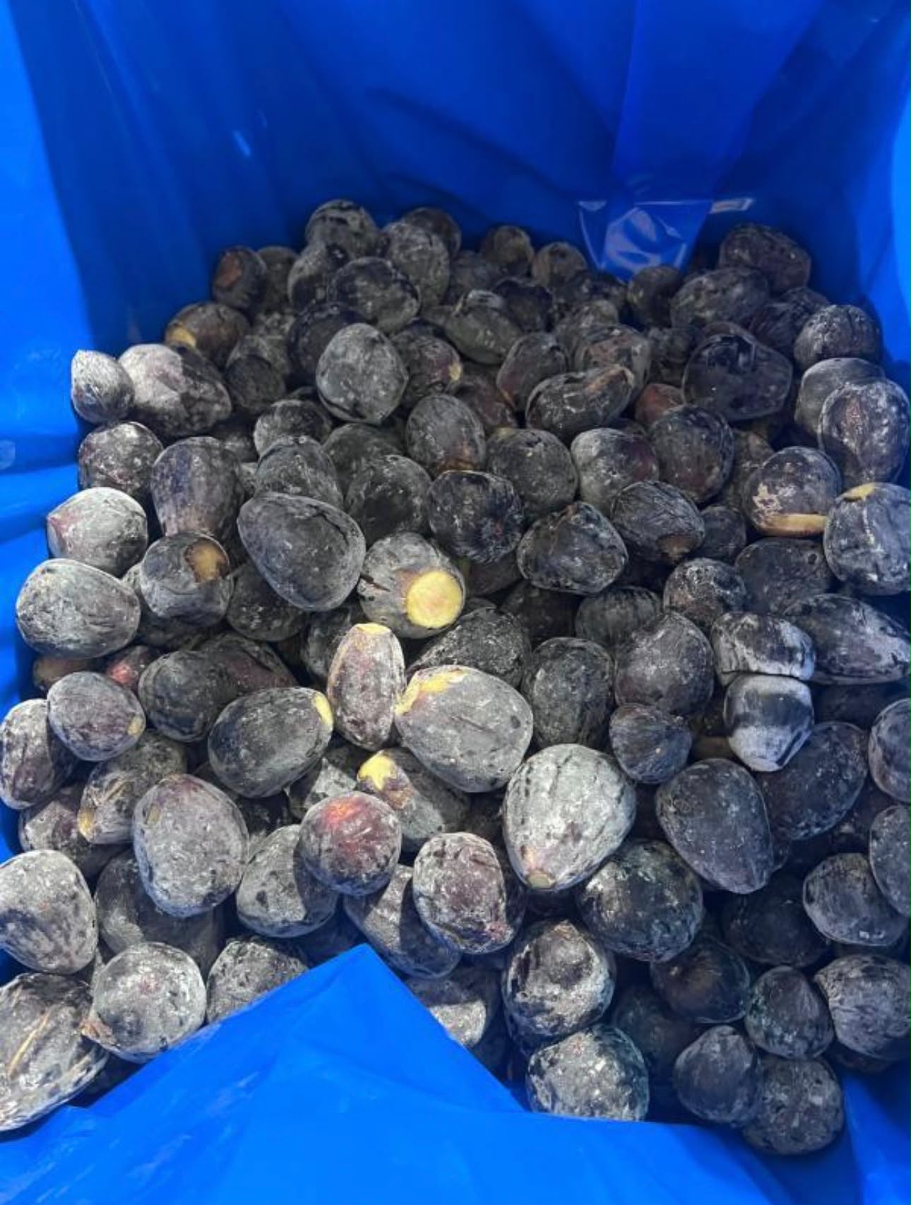 Figues noires surgelées en caisse doublée
