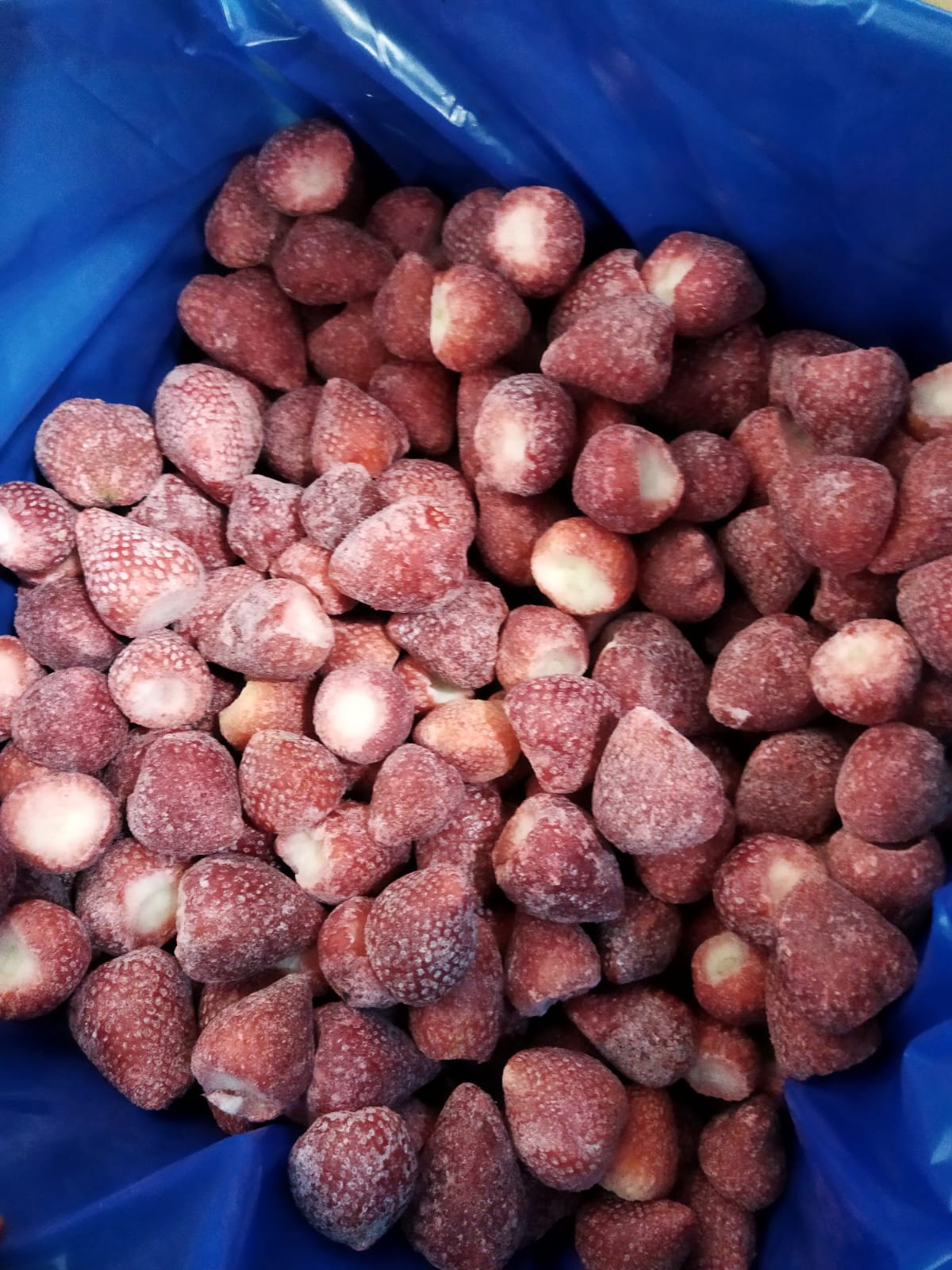 Fraises surgelées équeutées en caisse
