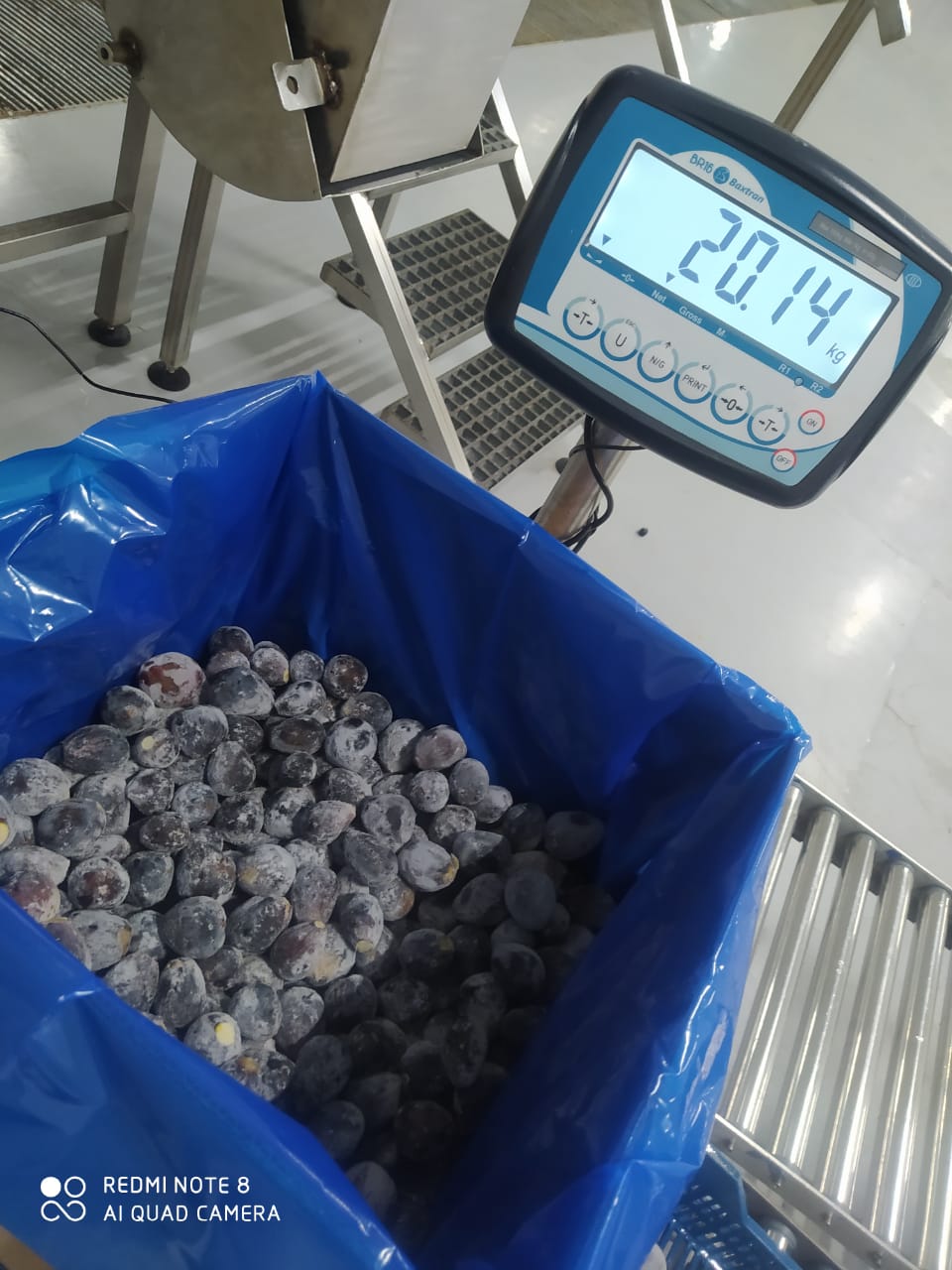 Pesée d'un carton de 20 kg de figues surgelées