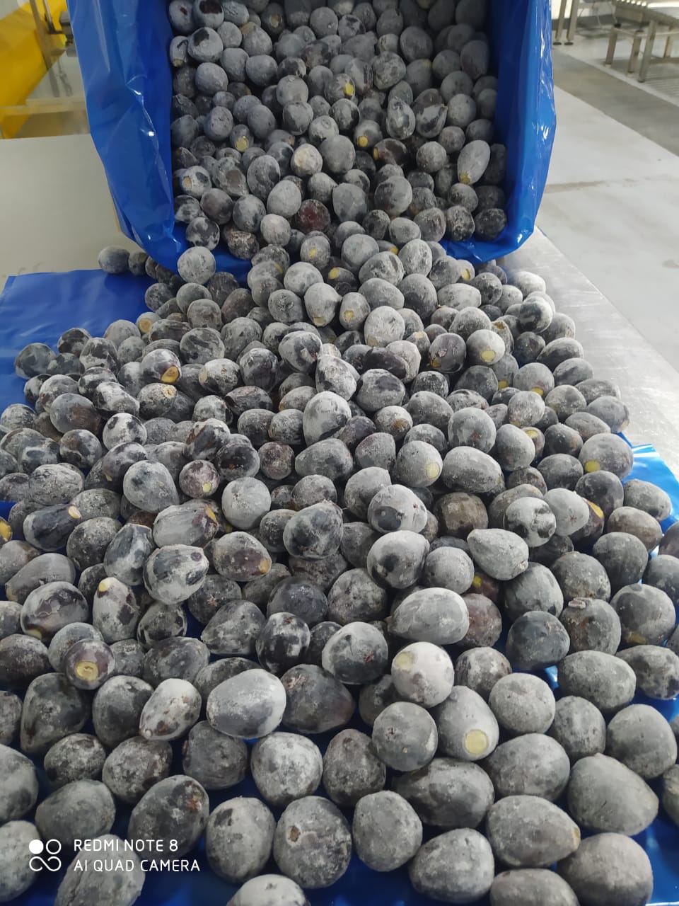 Figues noires surgelées versées pour le conditionnement
