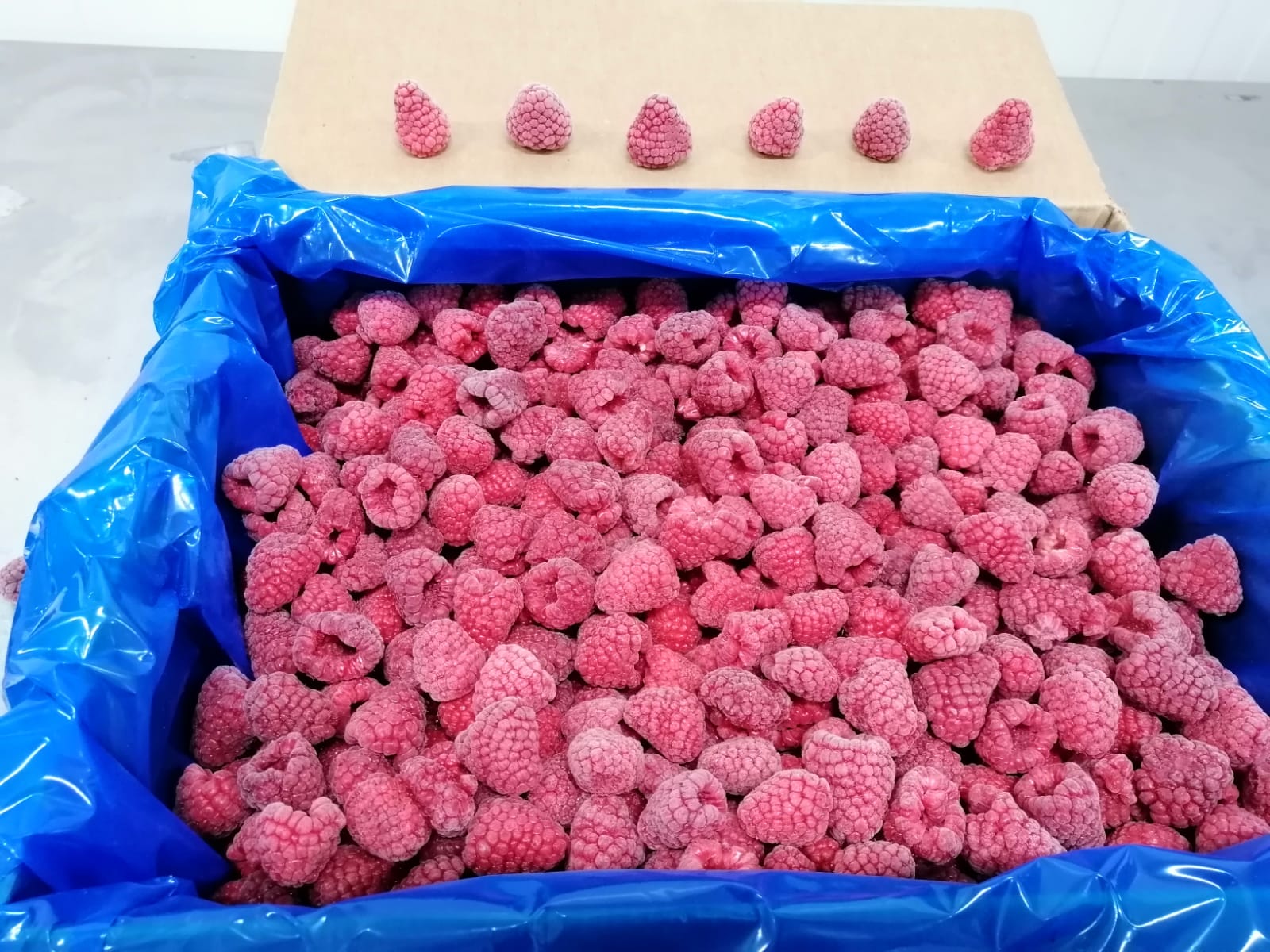 Framboises entières surgelées en carton
